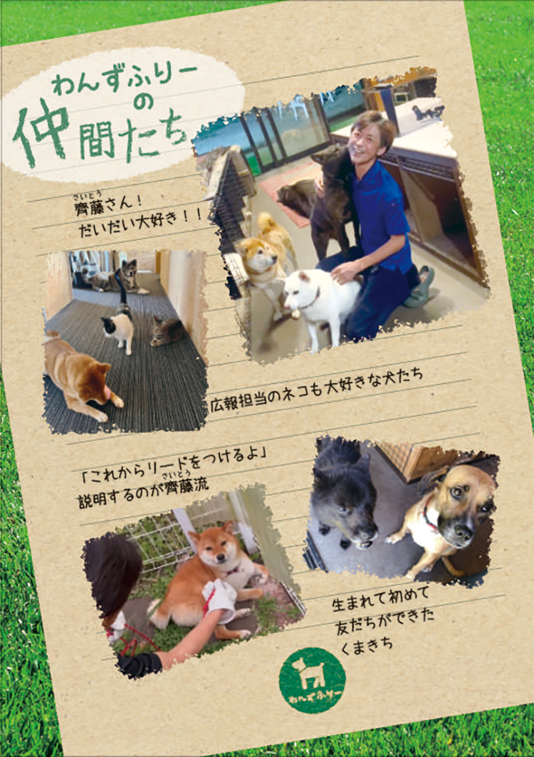 齊藤洋孝