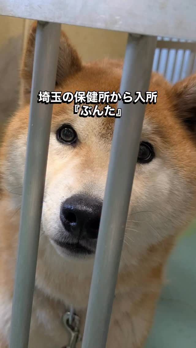 Instagram(日々の活動報告) – 特定非営利活動法人わんずふりー